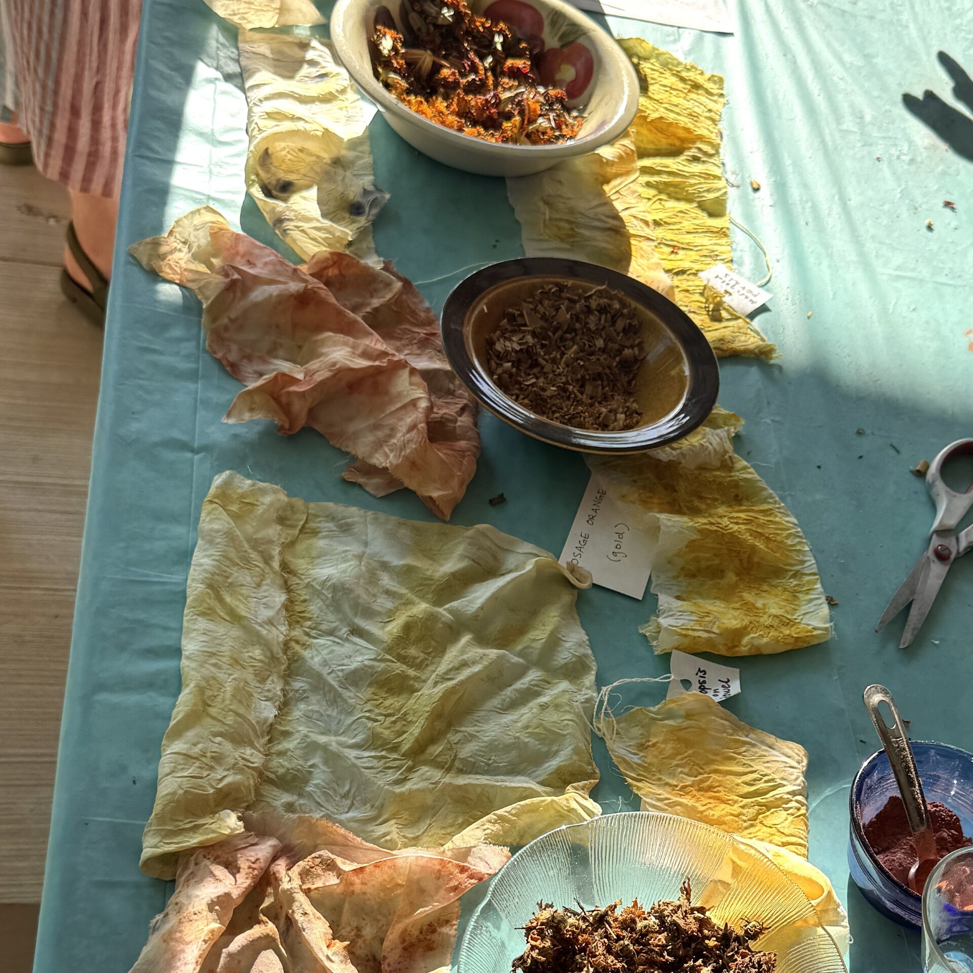 Garden Scarves + The Essentials of Natural Dyes with Ivy Guild - logo